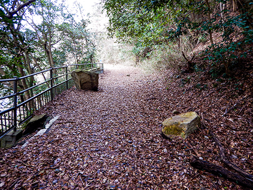 山道